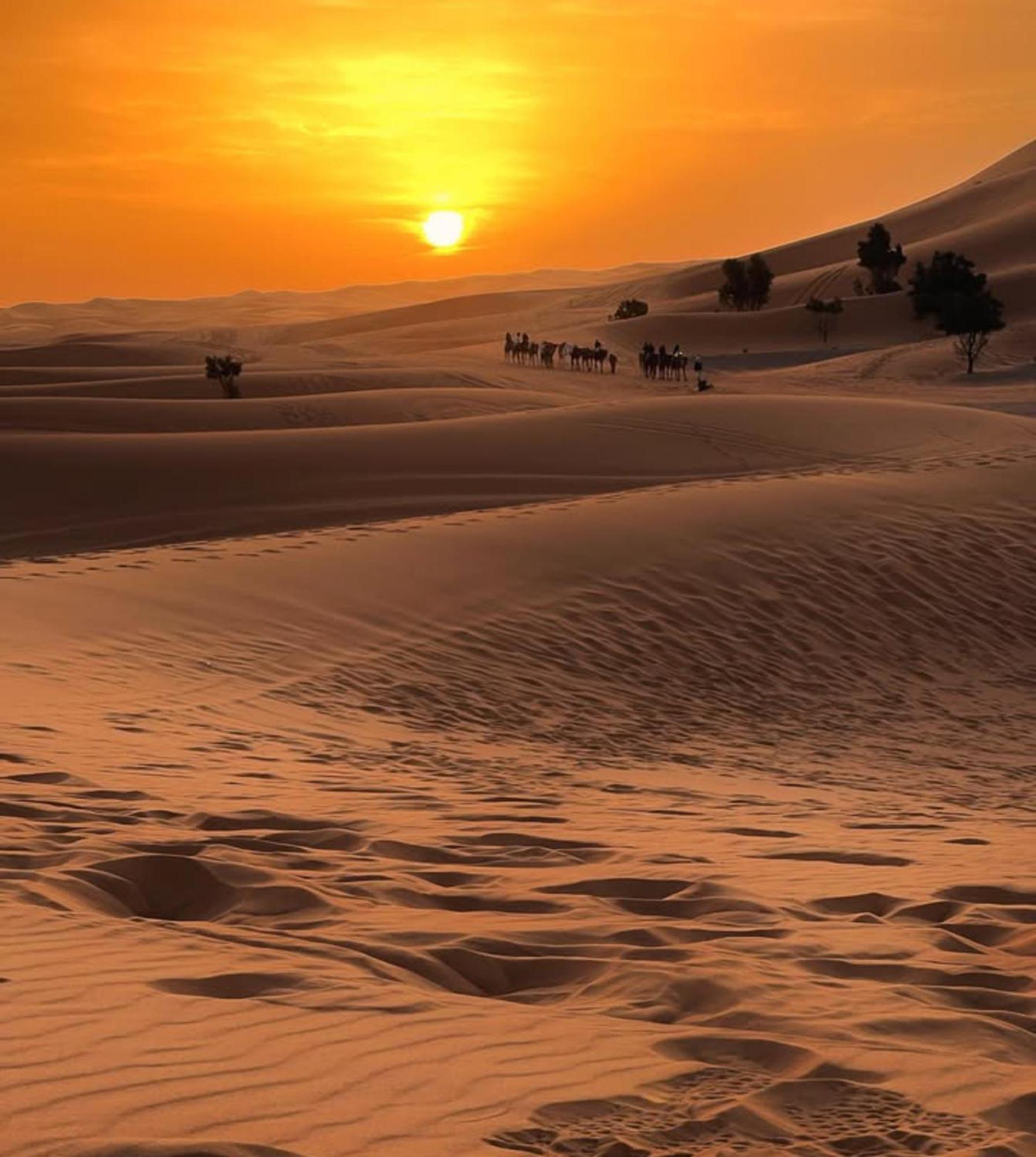 Layali Luxury Desert Camp 메르주가 외부 사진